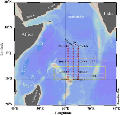 Distribution and physical–biological controls of dimethylsulfide in the western tropical Indian Ocean during winter monsoon